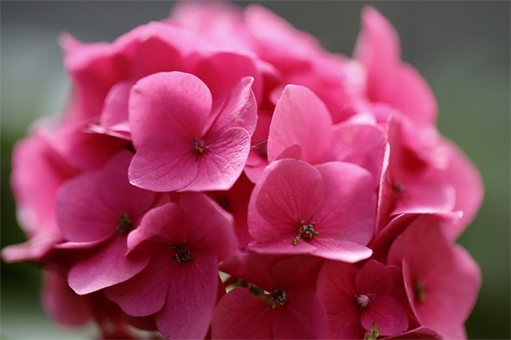 带女友两字的网名