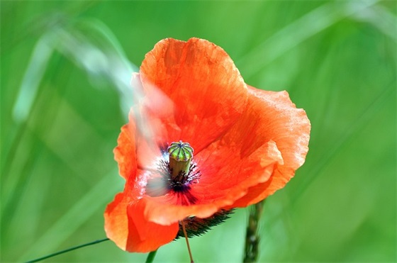 带日本字的情侣网名