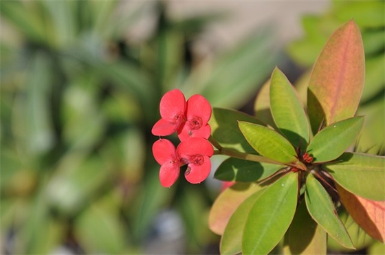 带永恒的爱网名