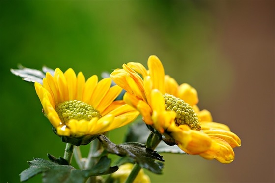 带早饭的网名男孩英文