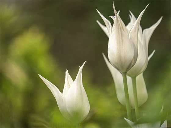 带赵字的个性网名