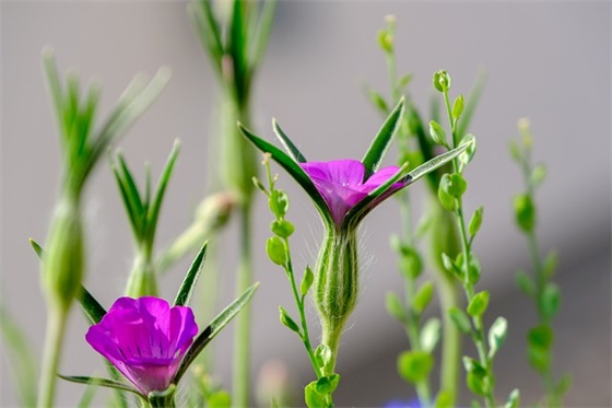 qq个性森系网名男