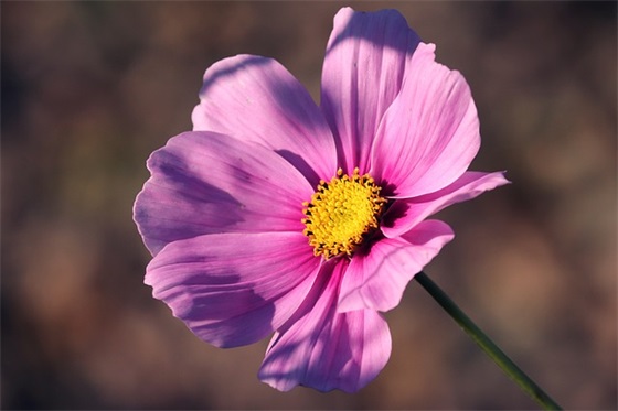 古风三个字的男网名