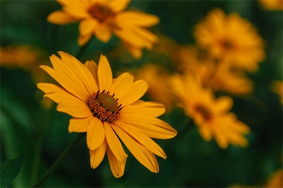 古风网名全集男生名字