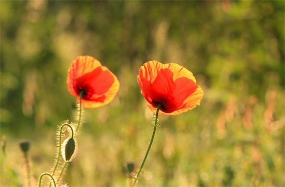 最有个性的qq网名