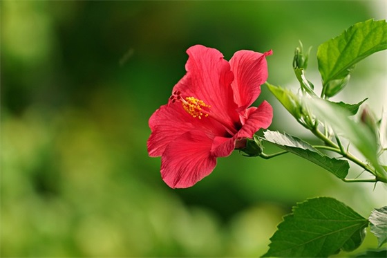 跟简单有关的网名