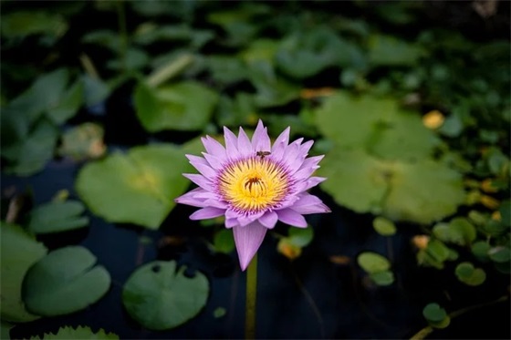 个性网名简单有内涵