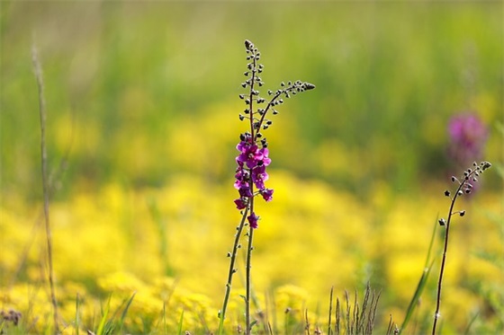 骑车网名男生可爱