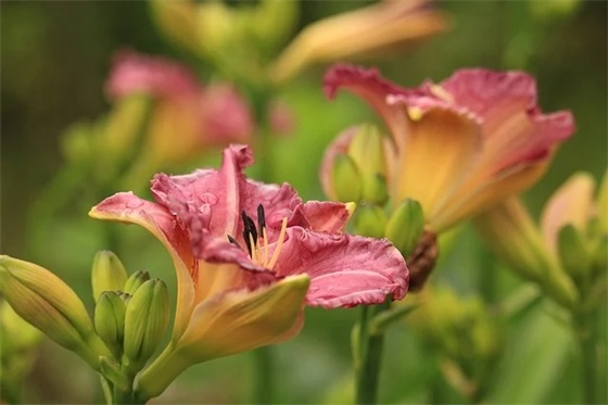 网名昵称男生古风高冷