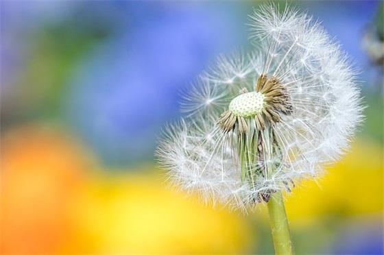 个性网男生网名高冷