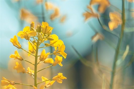 黑与白独具个性的网名