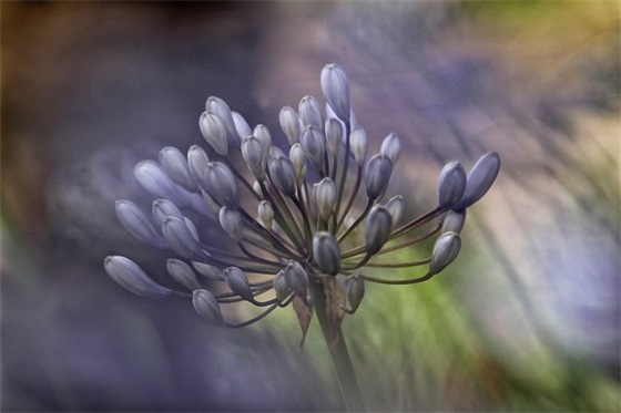 快手个性网名两个字