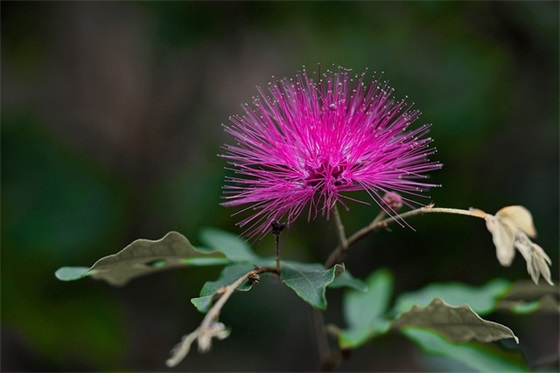 四个字个性网名