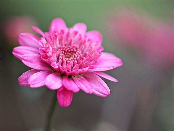 带有寻字的QQ网名