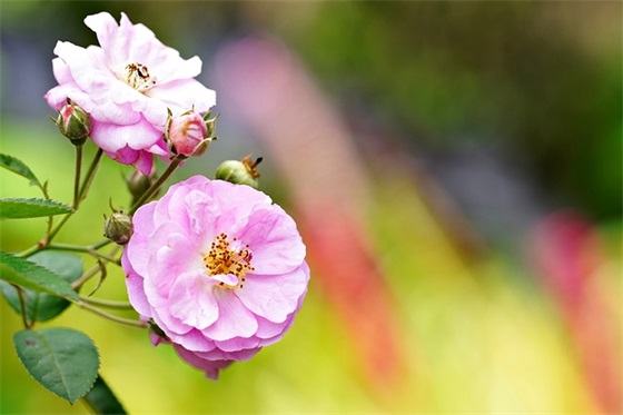 暖男网名成熟个性