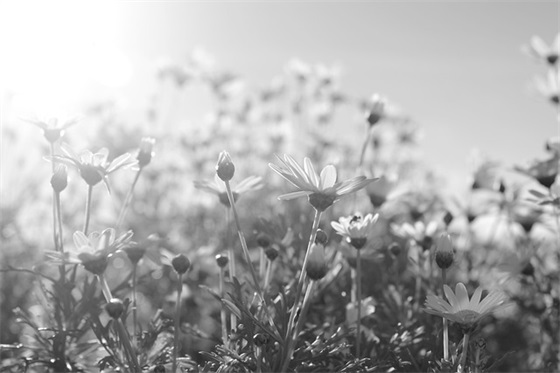 死了字体QQ网名