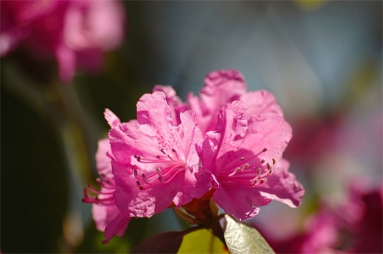 qq男生网名两字