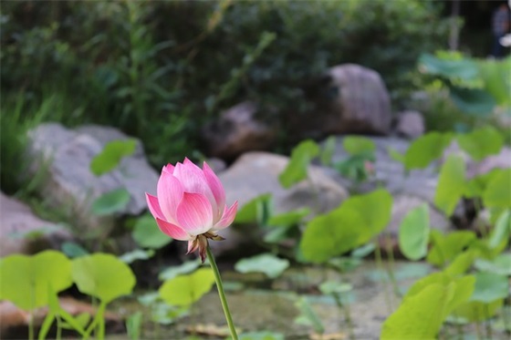 QQ用什么网名最好