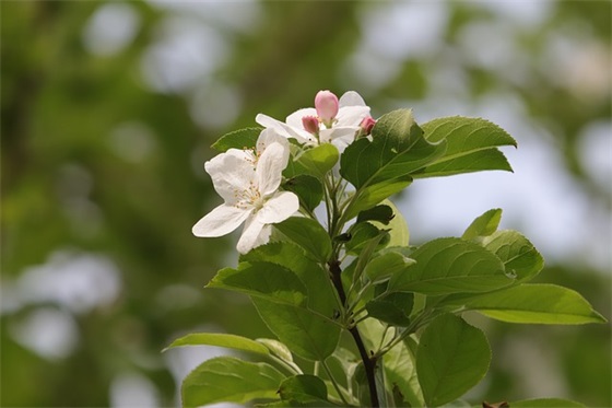 俩个字的个性网名