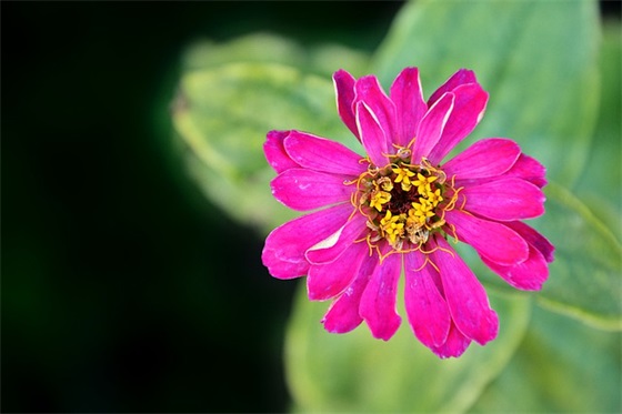 潇洒男生网名古风