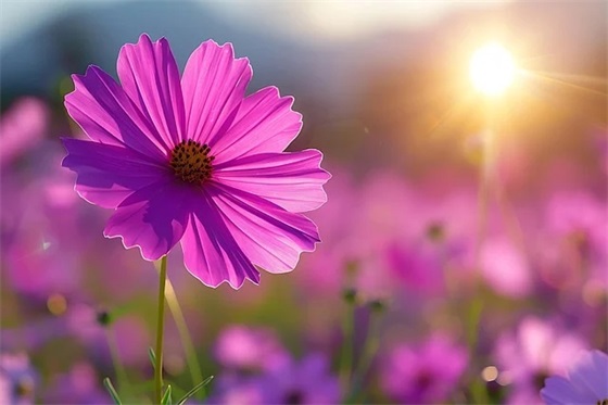 有颖字的qq网名名