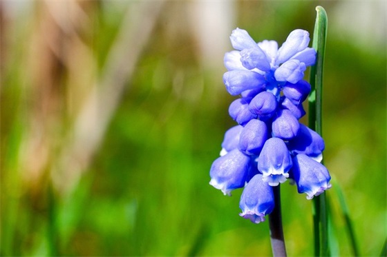 5字古风押韵网名