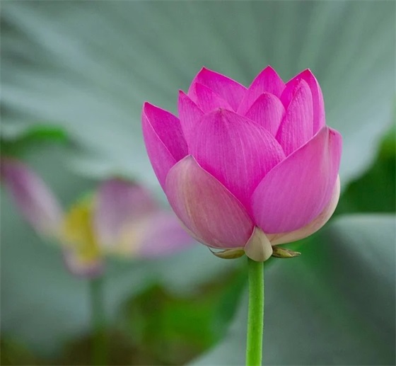 宁字网名可爱男生