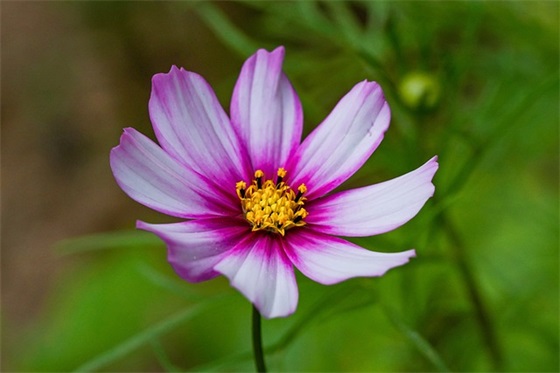 qq网名难过两个字