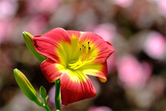 个性网名3个字男生网名