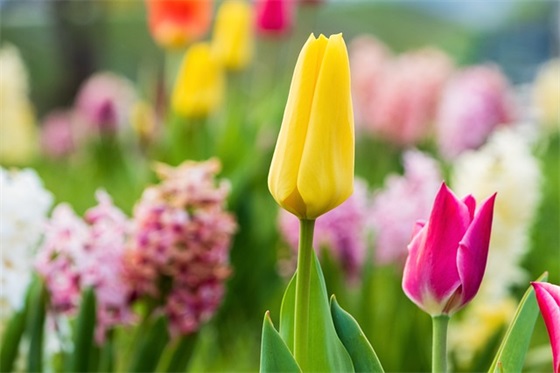 古风失落网名大全