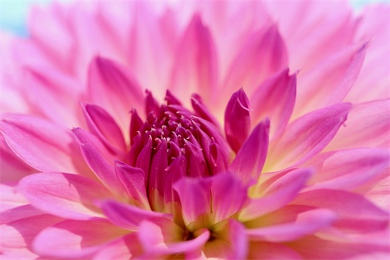 大哥气派qq网名