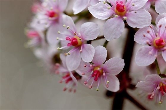 个性游戏网名 长