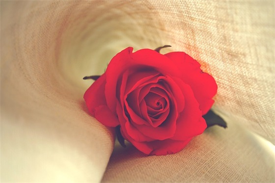 古风韵味的五字网名