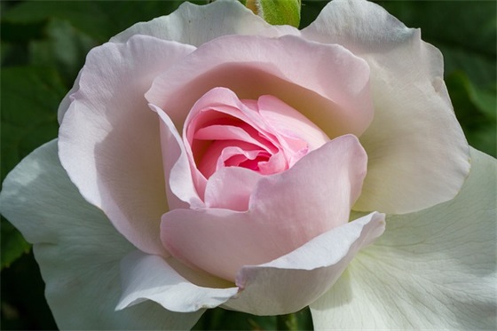 qq网名大全5个字