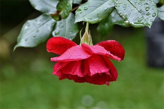 个性游戏网名双人