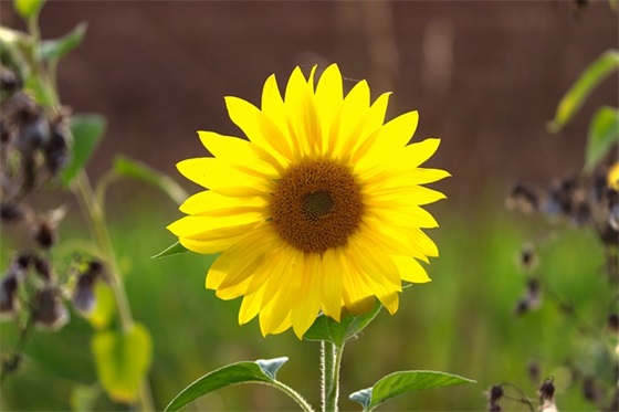 好听的简单两个字网名