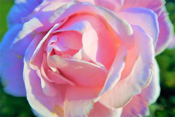 简单失望的微信网名