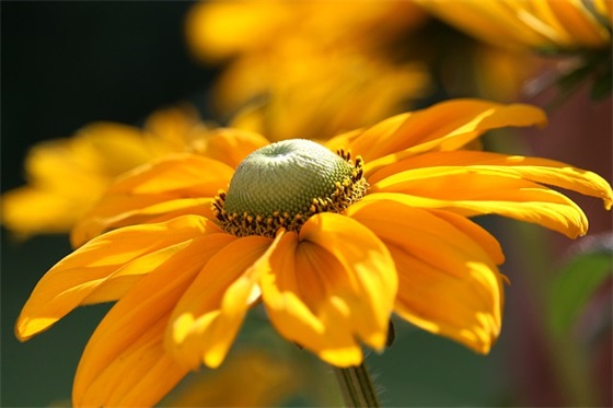 男生网名两字个性网