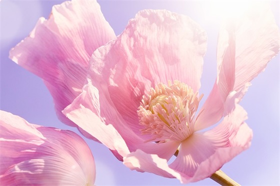 微笑网名可爱英语字体男生