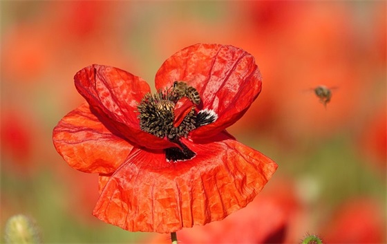 有特殊符号个性网名