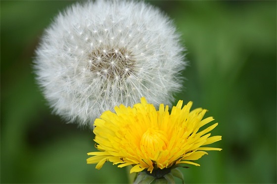 写给自己的句子200句 写给自己的句子200句