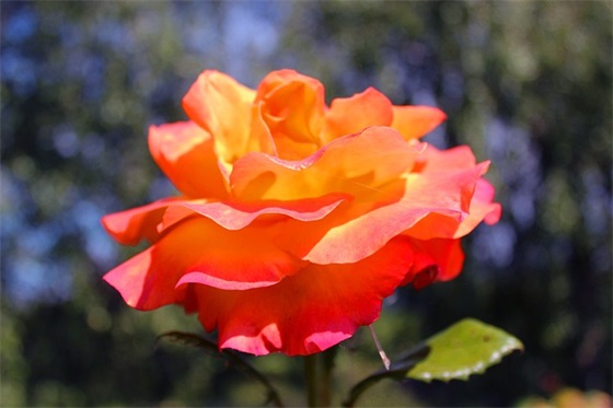 奔赴新征程不半途而废励志句子汇总42句 奔赴新征程不半途而废励志句子汇总42句