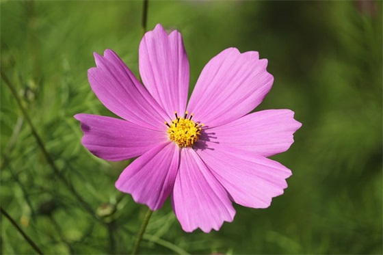 情侣表达甜蜜幸福的句子