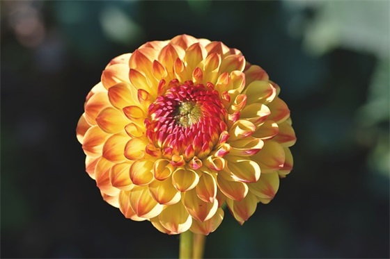 让人伤心的句子200句