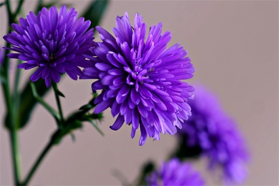 调侃天气热的幽默朋友圈句子收藏四十条