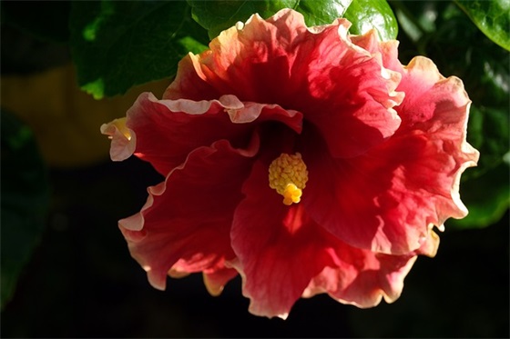 情绪低落消极厌世的句子锦集五十六句 情绪低落消极厌世的句子锦集五十六句