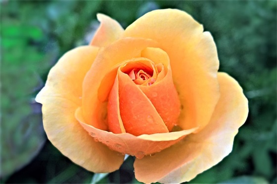 形容星光闪耀的句子46条 形容星光闪耀的句子46条