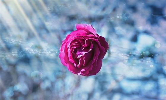 激励上进的句子200句