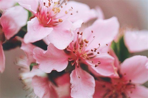 新年祝福词语 2026新年祝福词语 新年祝福词语 2026新年祝福词语