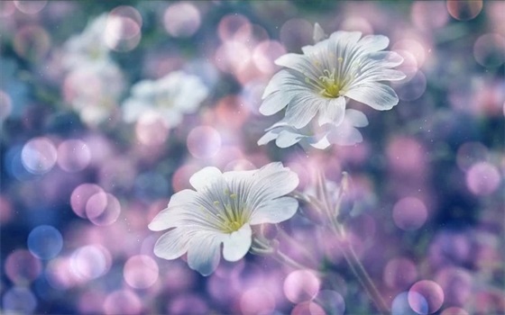 最新的美好祝福短信大全 祝福短信大全